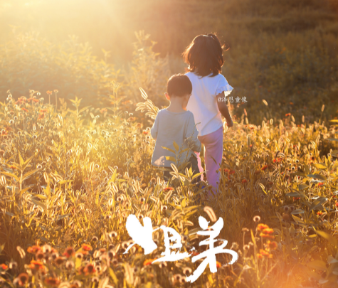 到底是一臺(tái)什么樣的餃子機(jī)可以讓老鐵下崗？